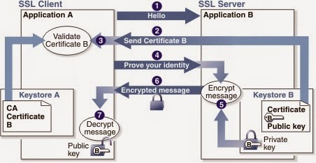 SSL protocol https