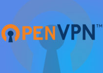 openvpn-vpnif.com